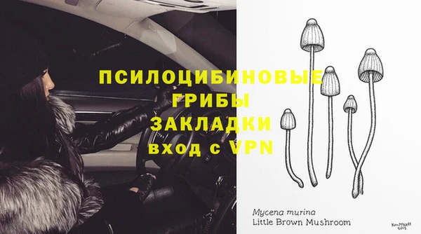 spice Бугульма
